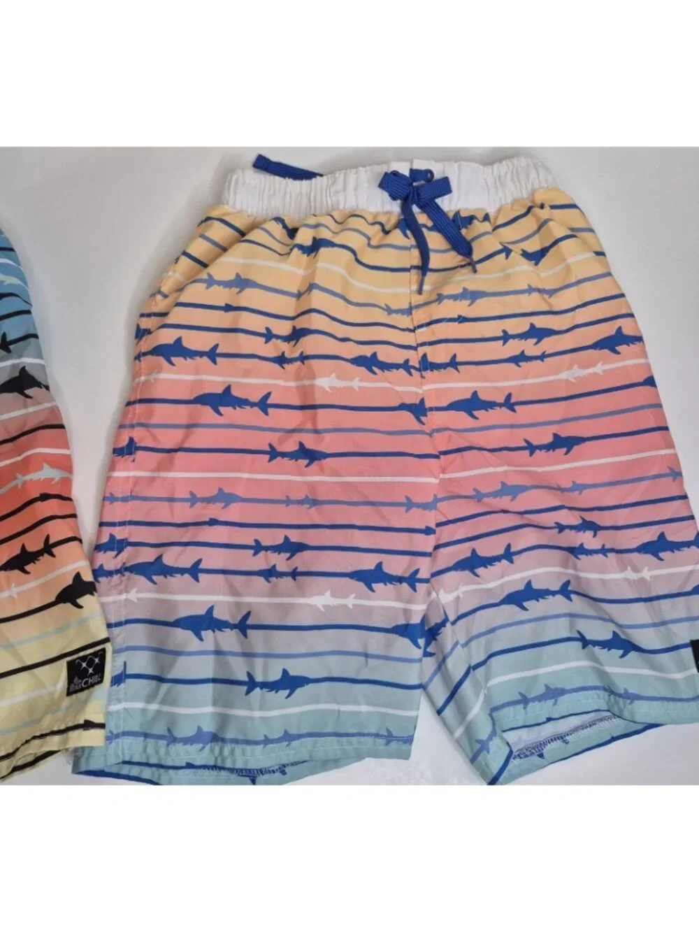 Big Chill Swim Shorts Youth Boys Size 10-12 (2 Pairs)
